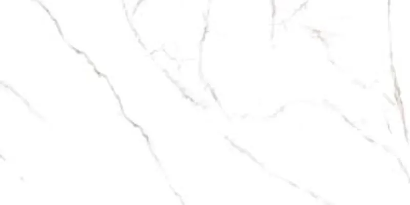 Porcelanato Vite Bianco Apuano Natural 60x120